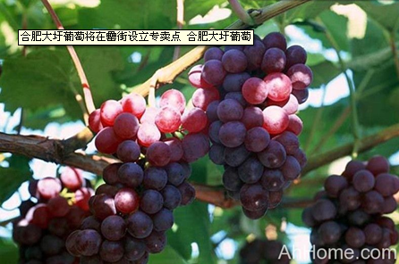 优游国际平台(UB8)官方网站- welcome