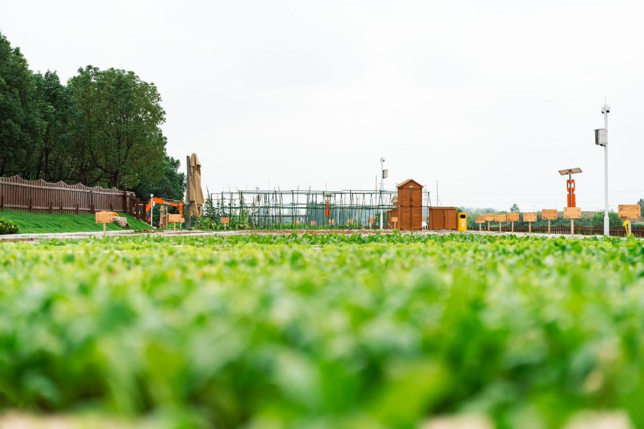 优游国际平台(UB8)官方网站- welcome